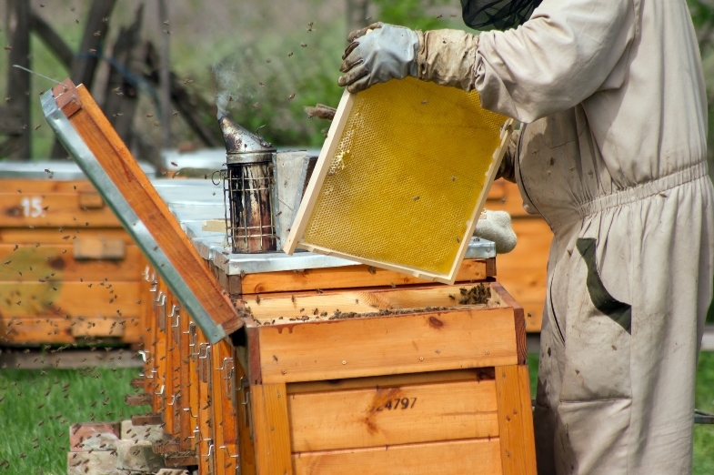 Biškopjiem turpmāk mēnesi agrāk būs jāiesniedz pārskats LAD