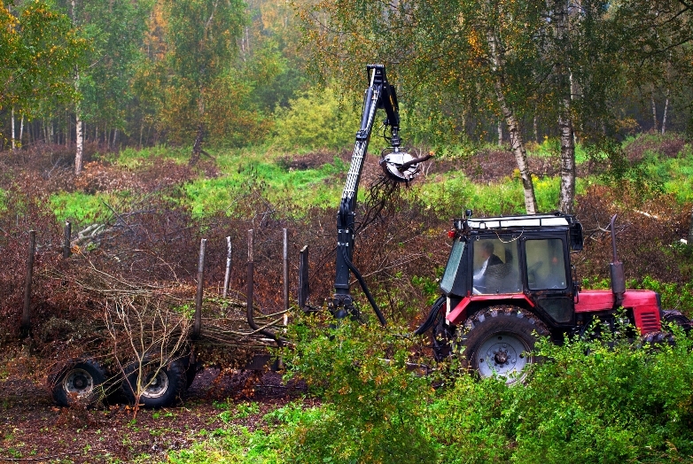 Mežu īpašniekus aicina pieteikties ES fondu atbalstam meža atjaunošanai un kopšanai