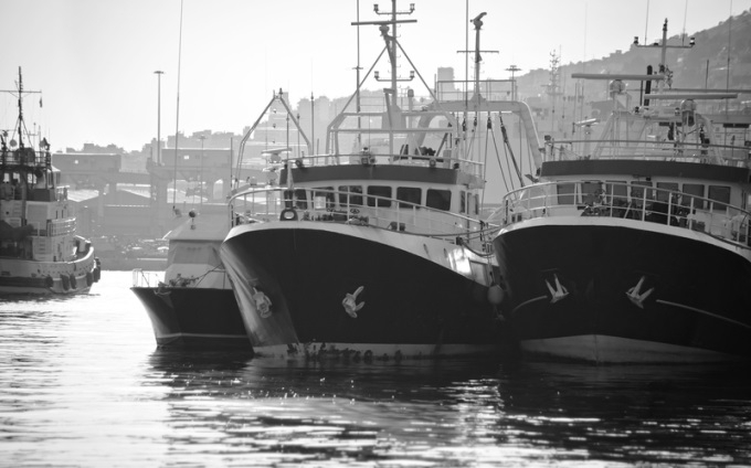 Skultes zvejnieku uzņēmums "Varita" palielinājis apgrozījumu un sācis eksportu uz Dāniju