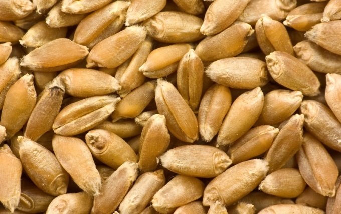 Latvijā ražoto graudaugu pārslu zīmols "Milzu!" par 40% audzē apgrozījumu