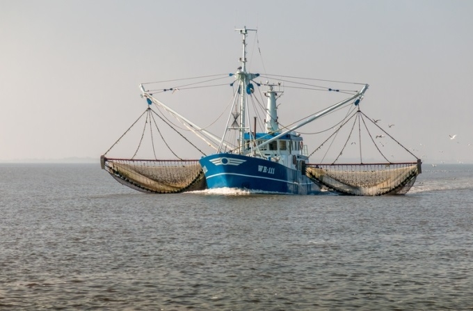 Garneļu audzētājs "FishBode" nākotnē plāno attīstīt eksportu uz Skandināvijas reģiona valstīm
