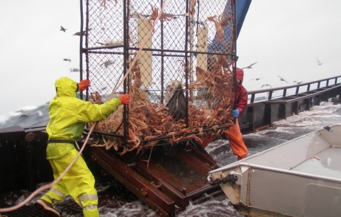 Latvijas uzņēmēji vēlas kompensācijas no ES par kuģu dīkstāvi krabju zvejas aizlieguma dēļ