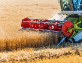 Zemās graudu cenas šogad kompensēs minerālmēslu cenu kritums