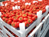 Pērn Latvijā importēto dārzeņu vērtība gandrīz trīs reizes pārsniedza eksporta vērtību