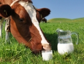 Pasaules tirgū ir indikācijas, kas ļauj cerēt uz piena iepirkumu cenu kāpumu 2017.gadā