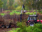Mežu īpašniekus aicina pieteikties ES fondu atbalstam meža atjaunošanai un kopšanai