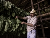 Tabakas importētājiem būs jāatskaitās par visām ražošanā izmantotajām sastāvdaļām