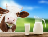 Piena iepirkuma cenu augšupeja turpināsies arī nākamgad