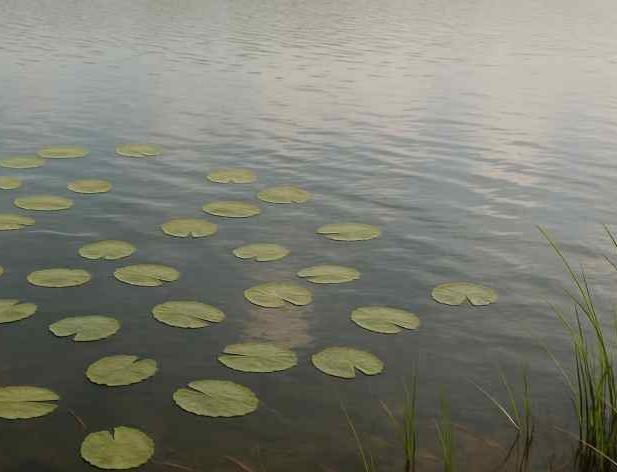 Lietā par dīķa krasta nostiprināšanu jālīdzsvaro īpašnieku intereses