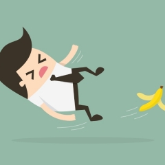 Dace Briede-Zālīte