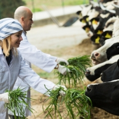 EK piensaimnieku atbalstam piešķir 500 miljonus eiro, Latvijai - nepilnus 10 miljonus