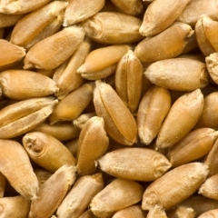 Latvijā ražoto graudaugu pārslu zīmols "Milzu!" par 40% audzē apgrozījumu