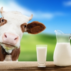 Piena iepirkuma cenu augšupeja turpināsies arī nākamgad
