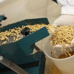 "Dobeles dzirnavnieks" sāk ražot bioloģisko lopbarību