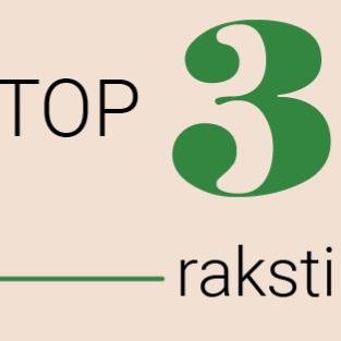 TOP 3: Patvaļīga būvniecība, bezalgas atvaļinājums un vārda brīvība sociālajos tīklos