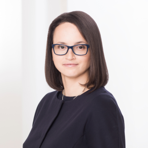 Jauna lietu kategorija – patērētāju kolektīvās prasības