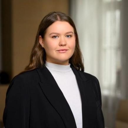 Nomnieka ieguldījuma juridiskais vērtējums – tiesas ziņā