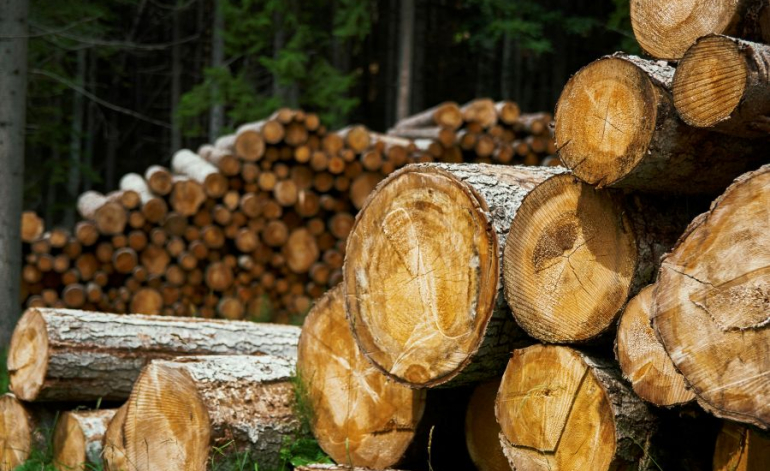 Kokmateriālu iegāde PVN deklarācijā