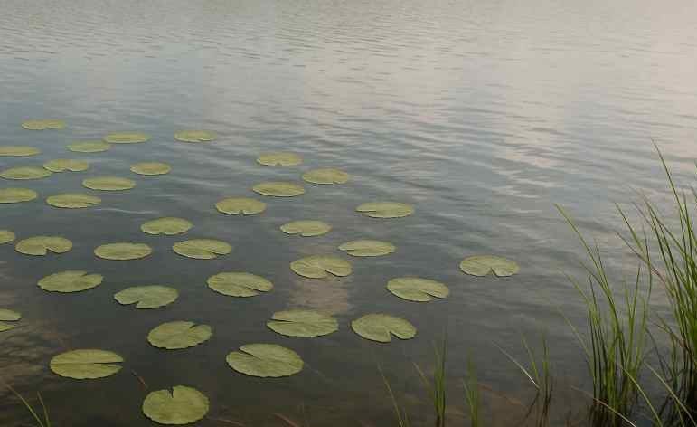 Lietā par dīķa krasta nostiprināšanu jālīdzsvaro īpašnieku intereses