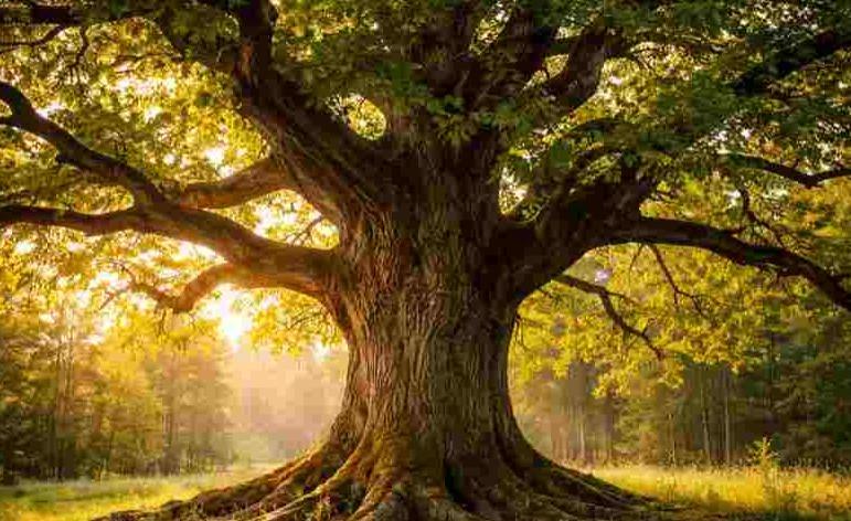 Vides aizsardzība svarīgāka par uzņēmuma ērtībām